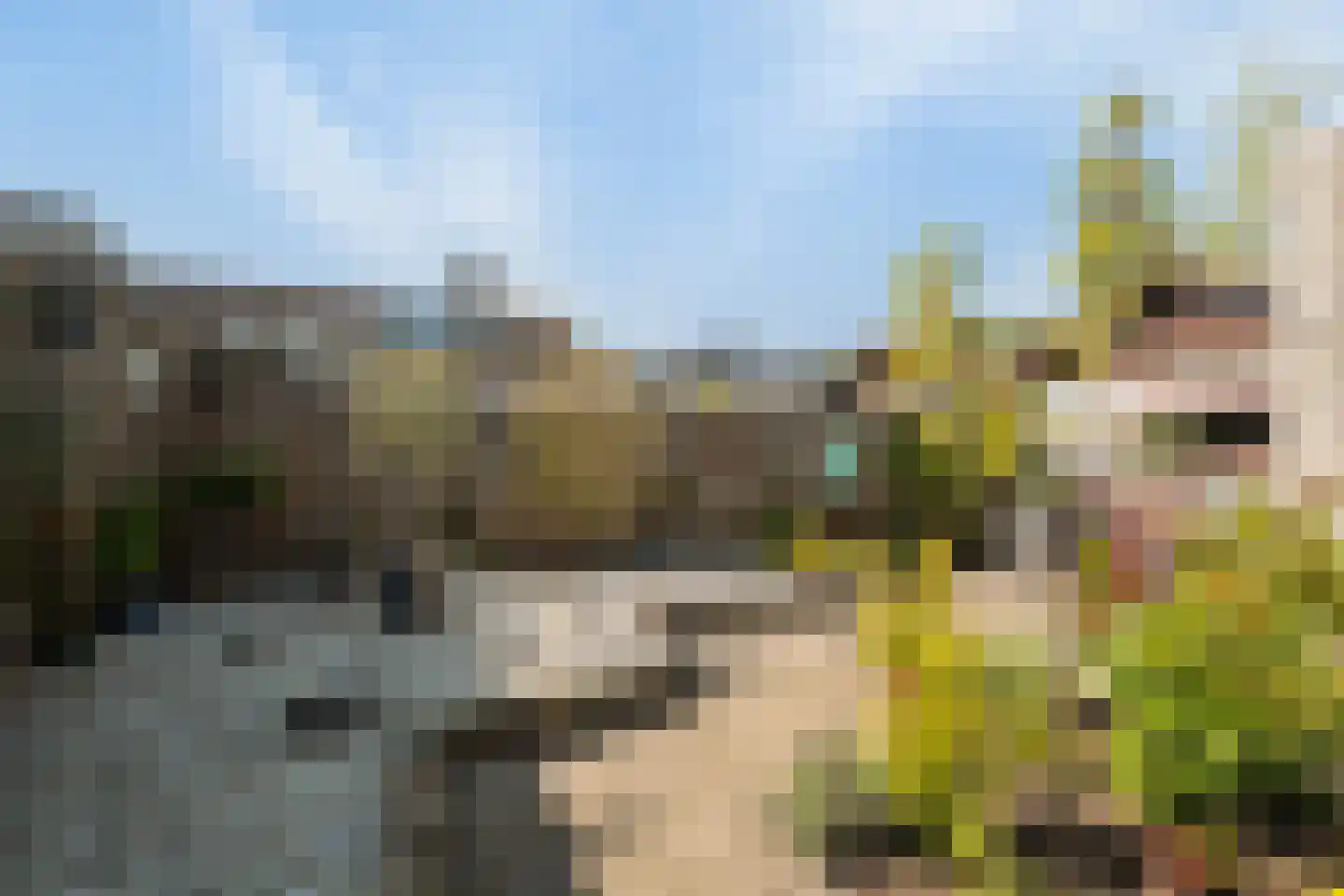 Griegstraat 17 Zuid-Beijerland thumbnail 12