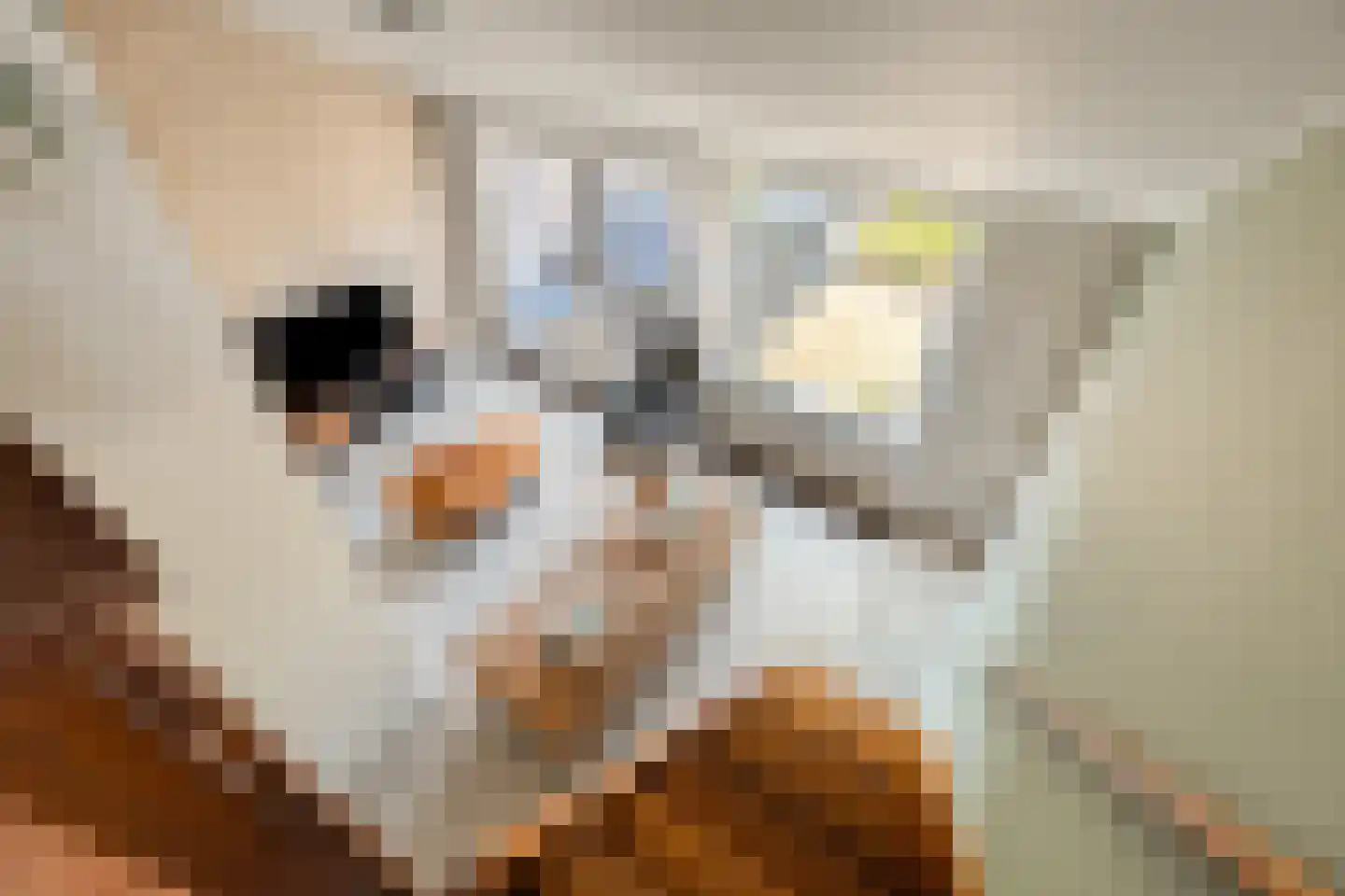 Griegstraat 17 Zuid-Beijerland thumbnail 33