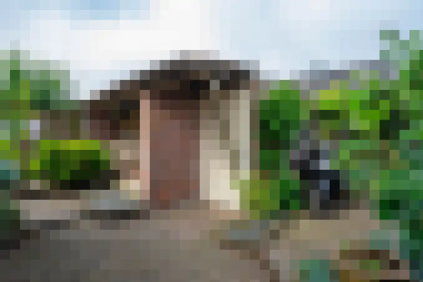 Griegstraat 19 Deurne thumbnail 33