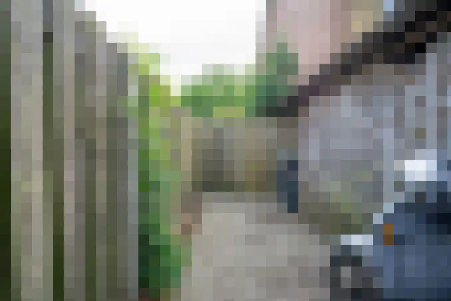 Griegstraat 19 Deurne thumbnail 36