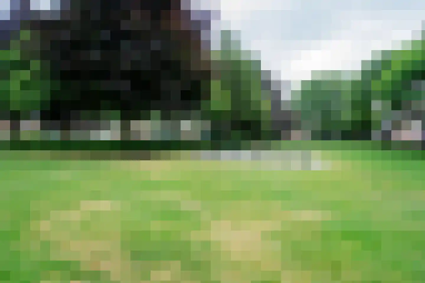 Griegstraat 19 Deurne thumbnail 38