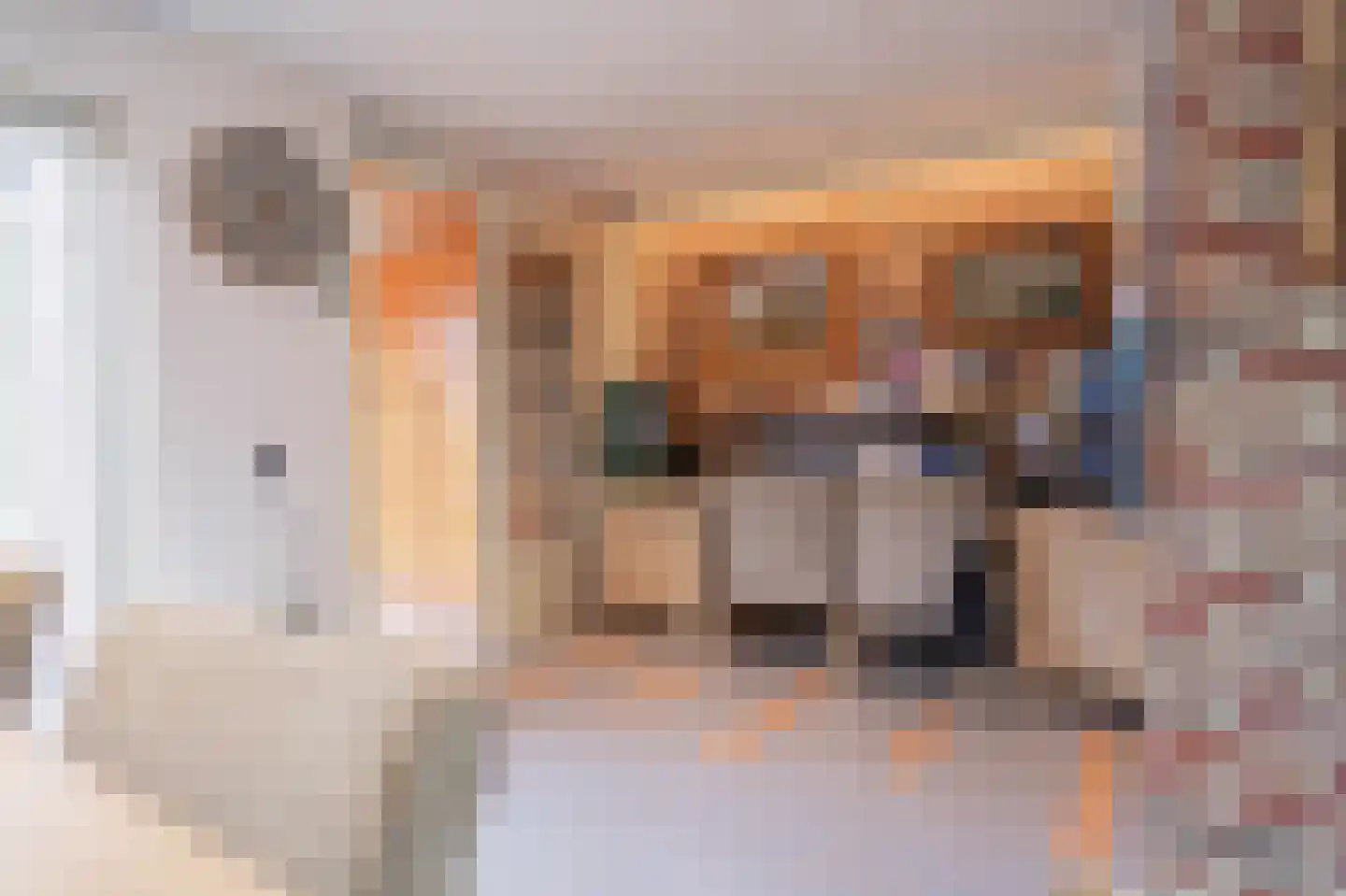 Griegstraat 19 Deurne thumbnail 4