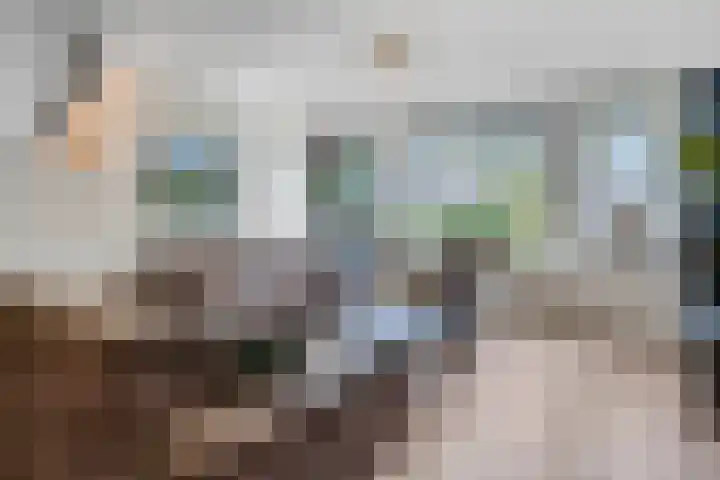 Griegstraat 2 Veenendaal thumbnail 11