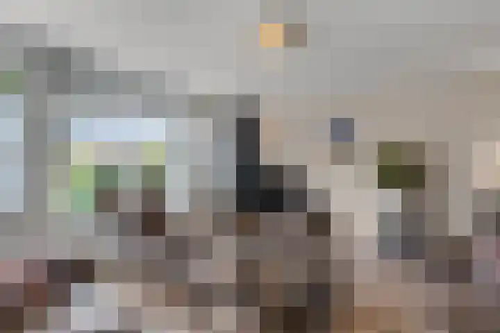 Griegstraat 2 Veenendaal thumbnail 13