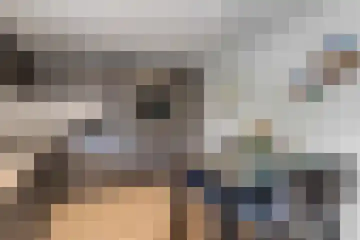 Griegstraat 2 Veenendaal thumbnail 15