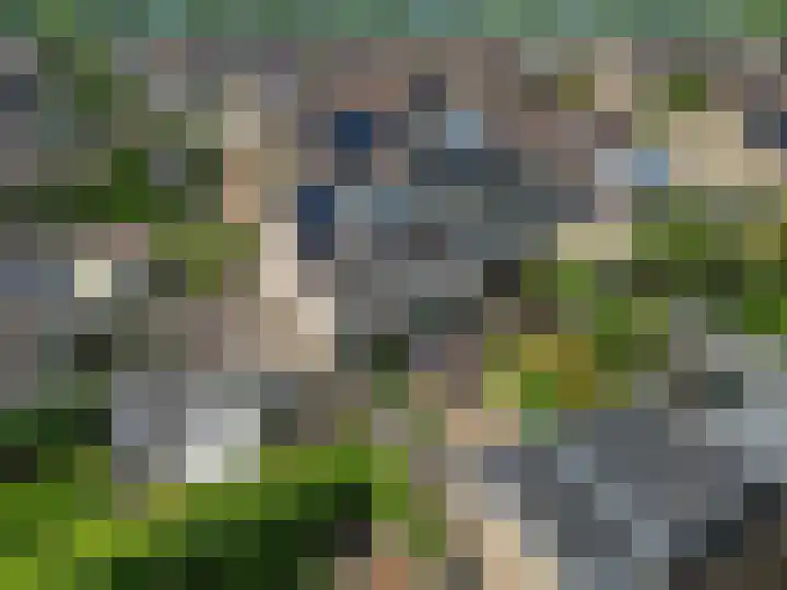 Griegstraat 2 Veenendaal thumbnail 42