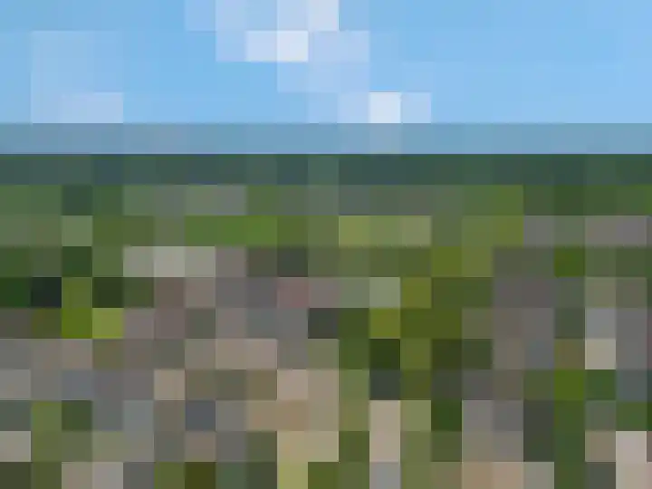 Griegstraat 2 Veenendaal thumbnail 43