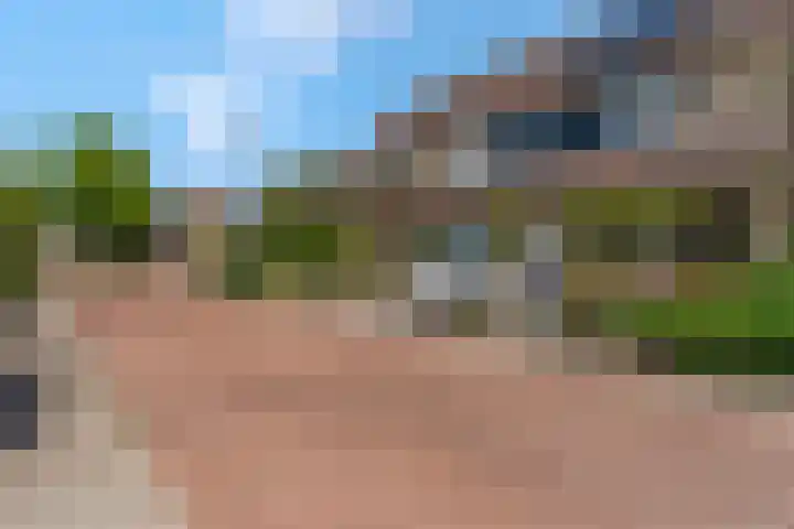 Griegstraat 2 Veenendaal thumbnail 46