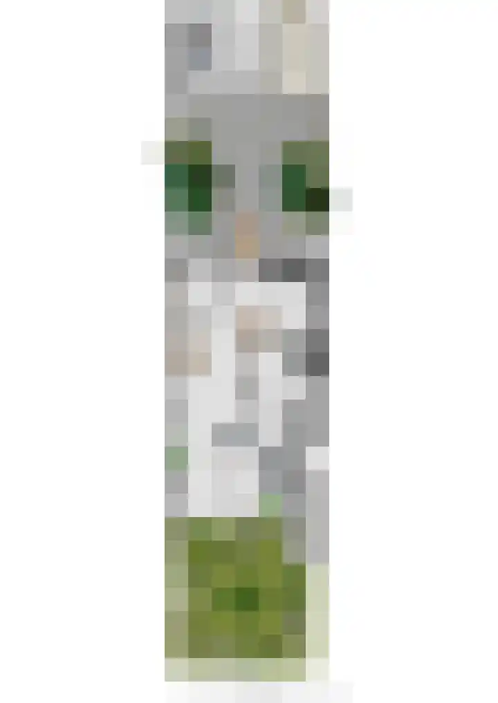 Griegstraat 2 Veenendaal thumbnail 49