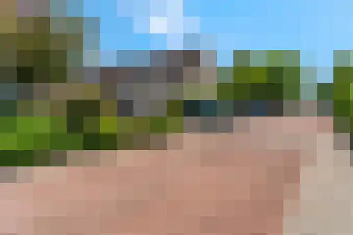 Griegstraat 2 Veenendaal thumbnail 6