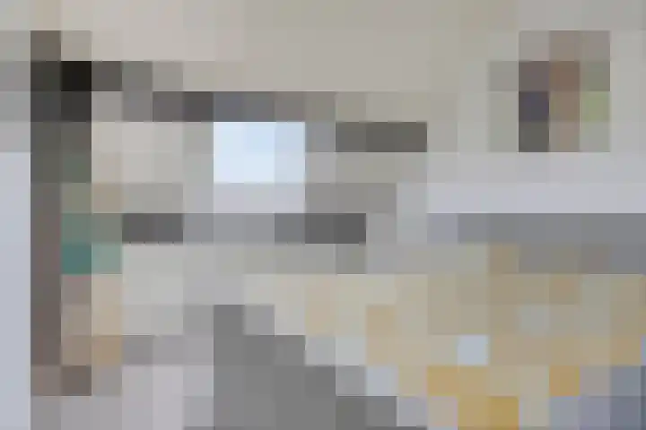 Griegstraat 20 Veenendaal thumbnail 33