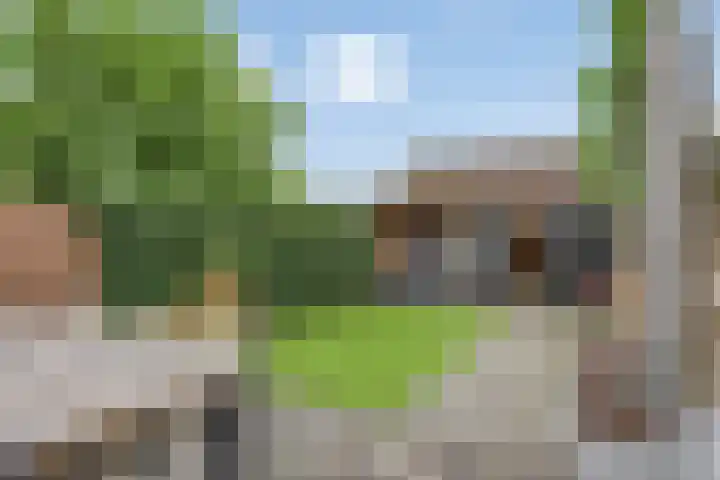 Griegstraat 20 Veenendaal thumbnail 39