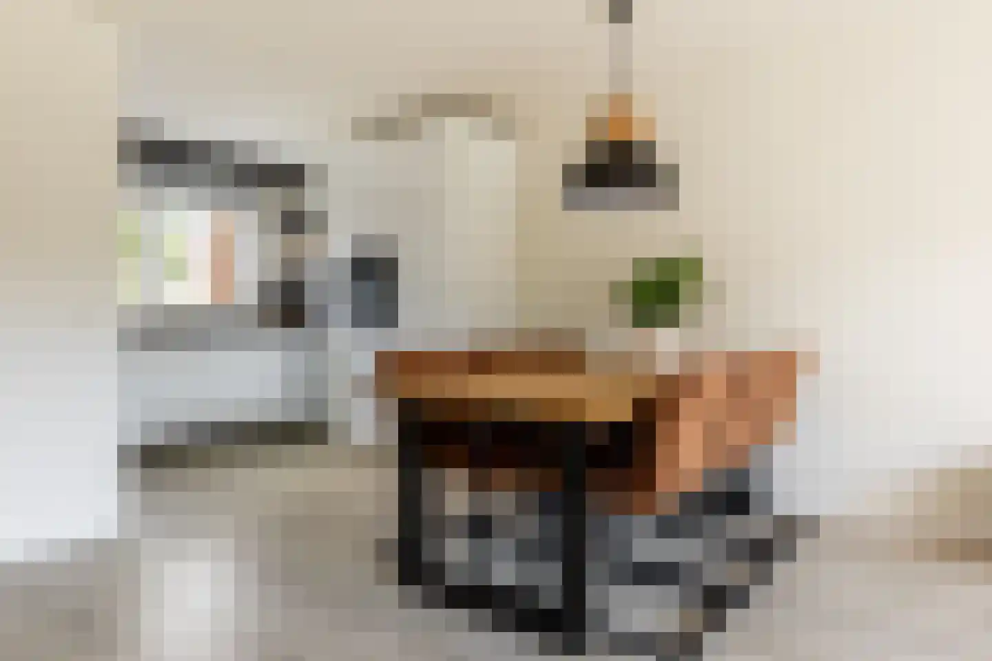 Griegstraat 24 Capelle aan den IJssel thumbnail 12