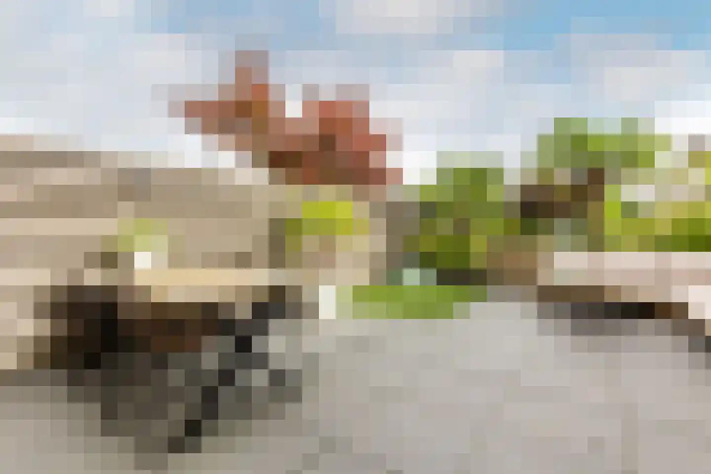 Griegstraat 24 Capelle aan den IJssel thumbnail 17