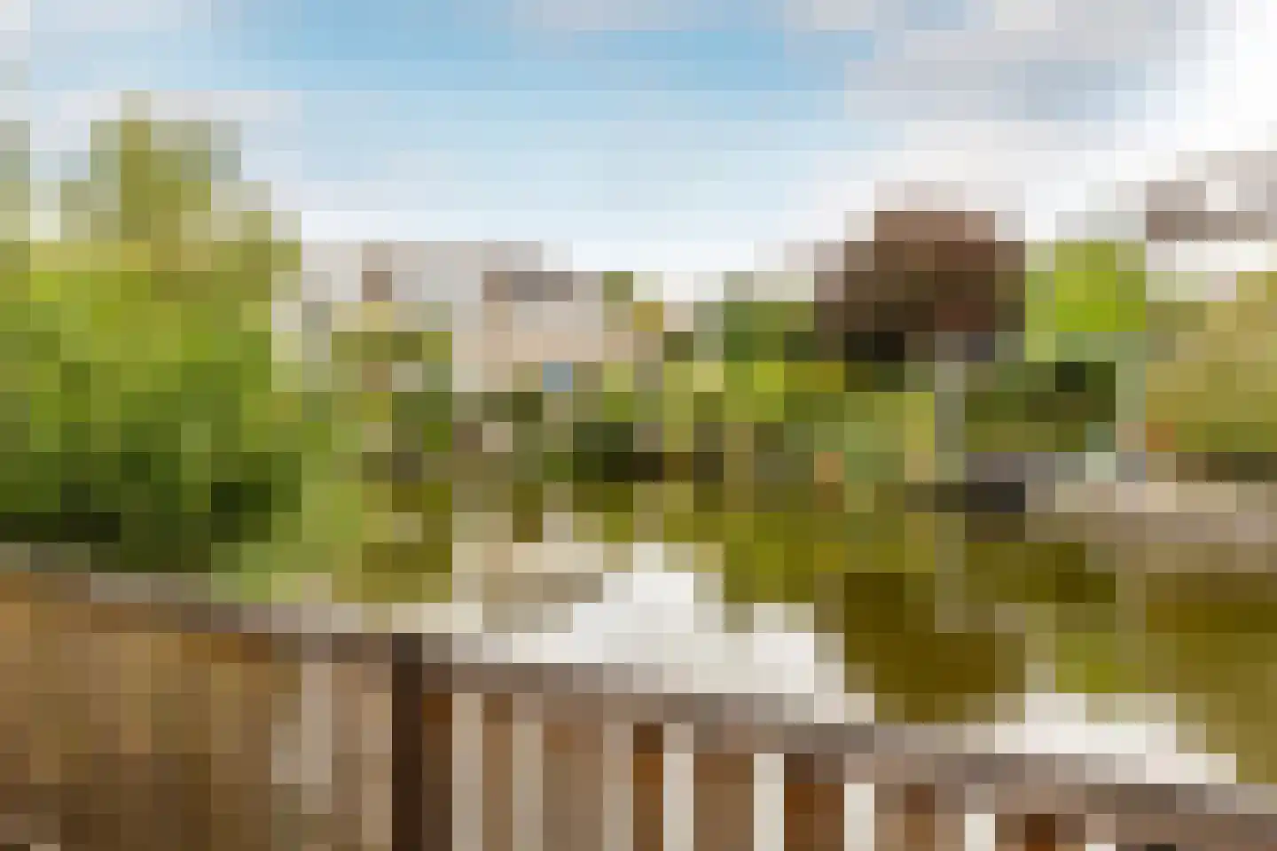 Griegstraat 24 Capelle aan den IJssel thumbnail 20