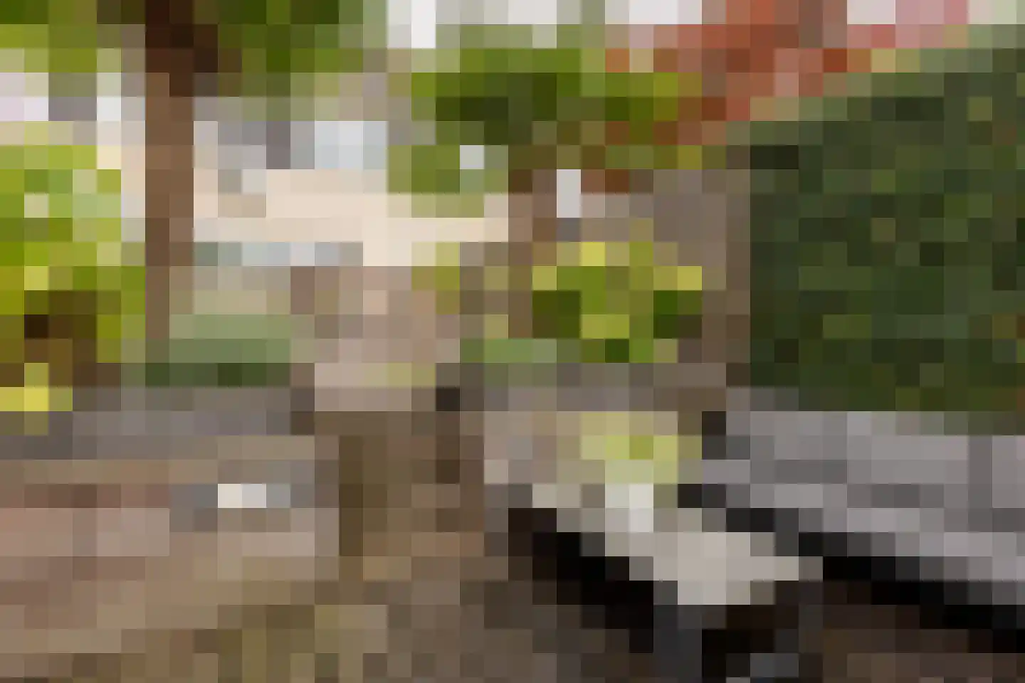 Griegstraat 24 Capelle aan den IJssel thumbnail 22