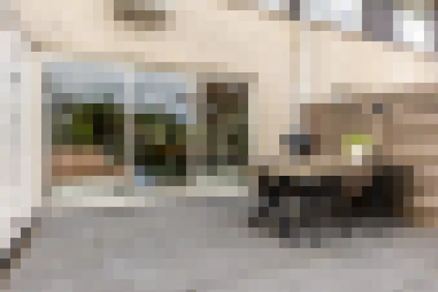 Griegstraat 24 Capelle aan den IJssel thumbnail 23