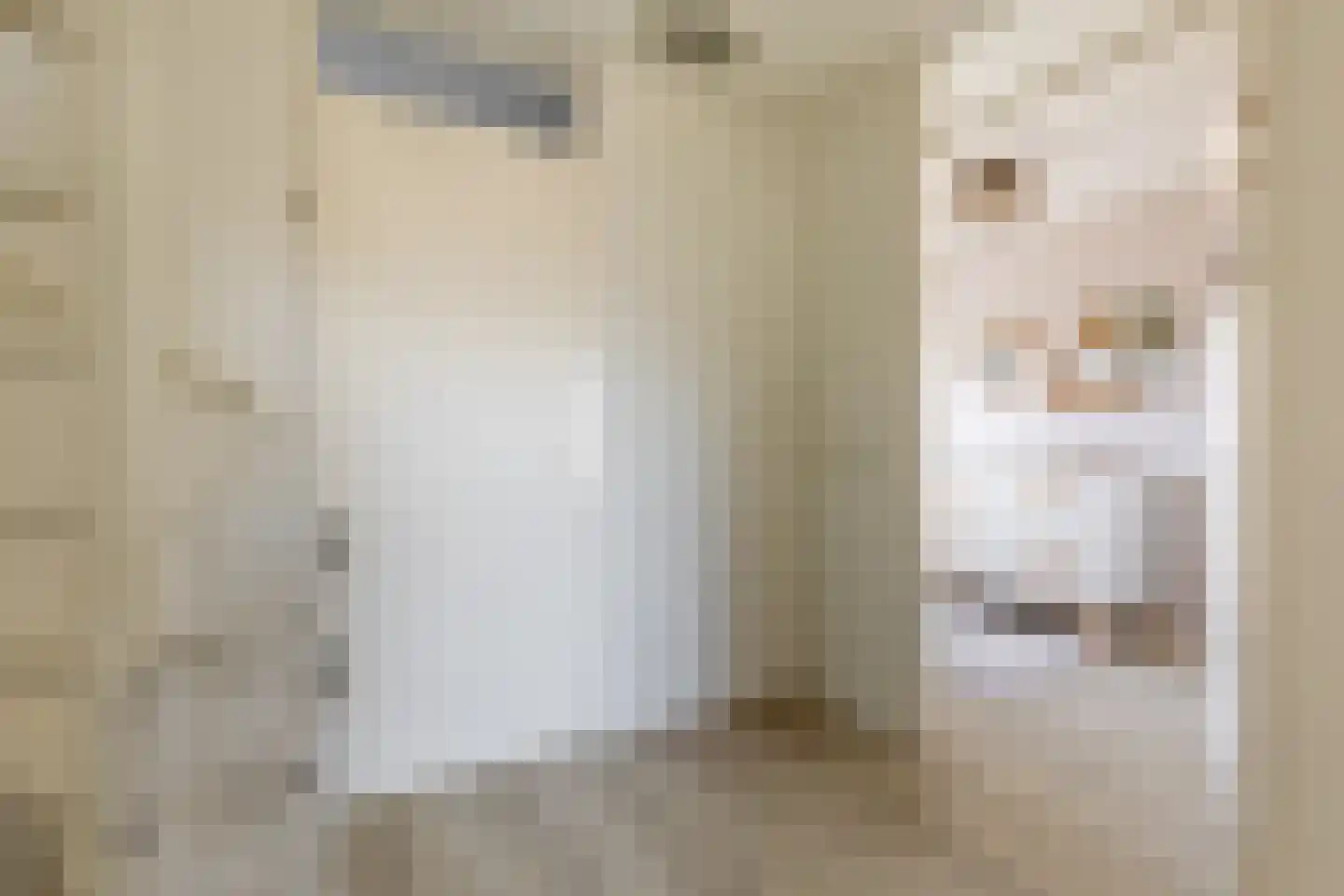 Griegstraat 24 Capelle aan den IJssel thumbnail 33