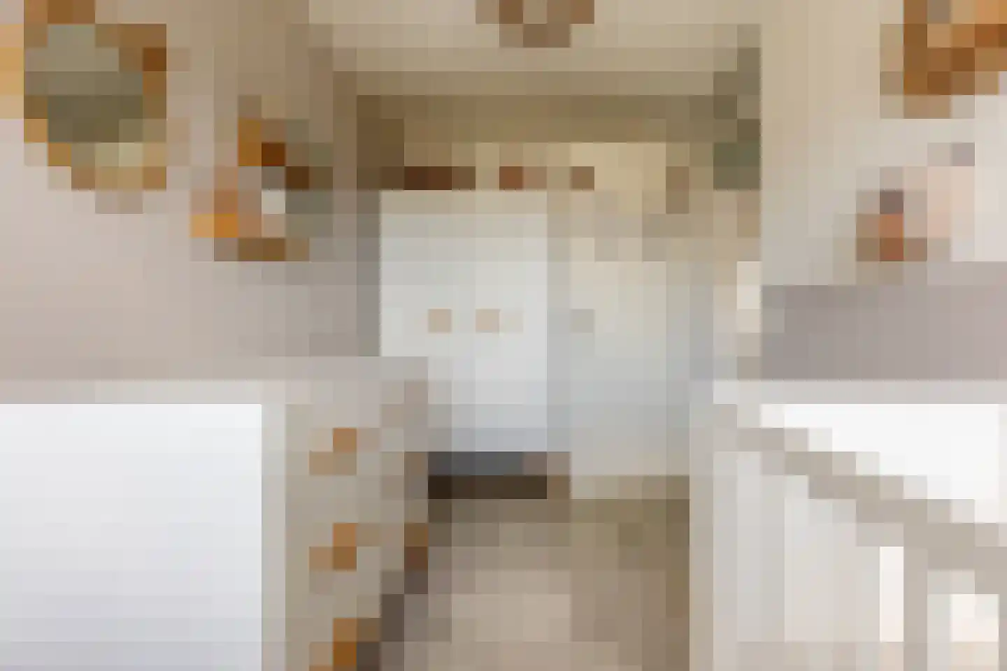 Griegstraat 24 Capelle aan den IJssel thumbnail 35