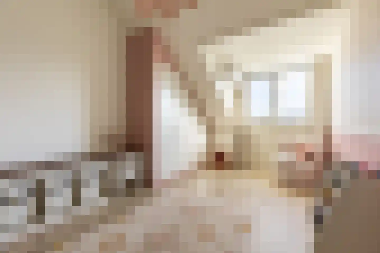 Griegstraat 24 Capelle aan den IJssel thumbnail 42