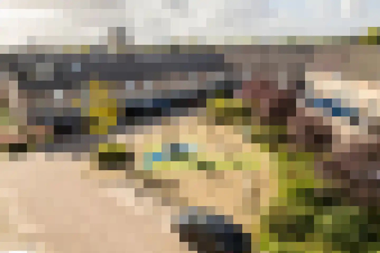 Griegstraat 24 Capelle aan den IJssel thumbnail 47