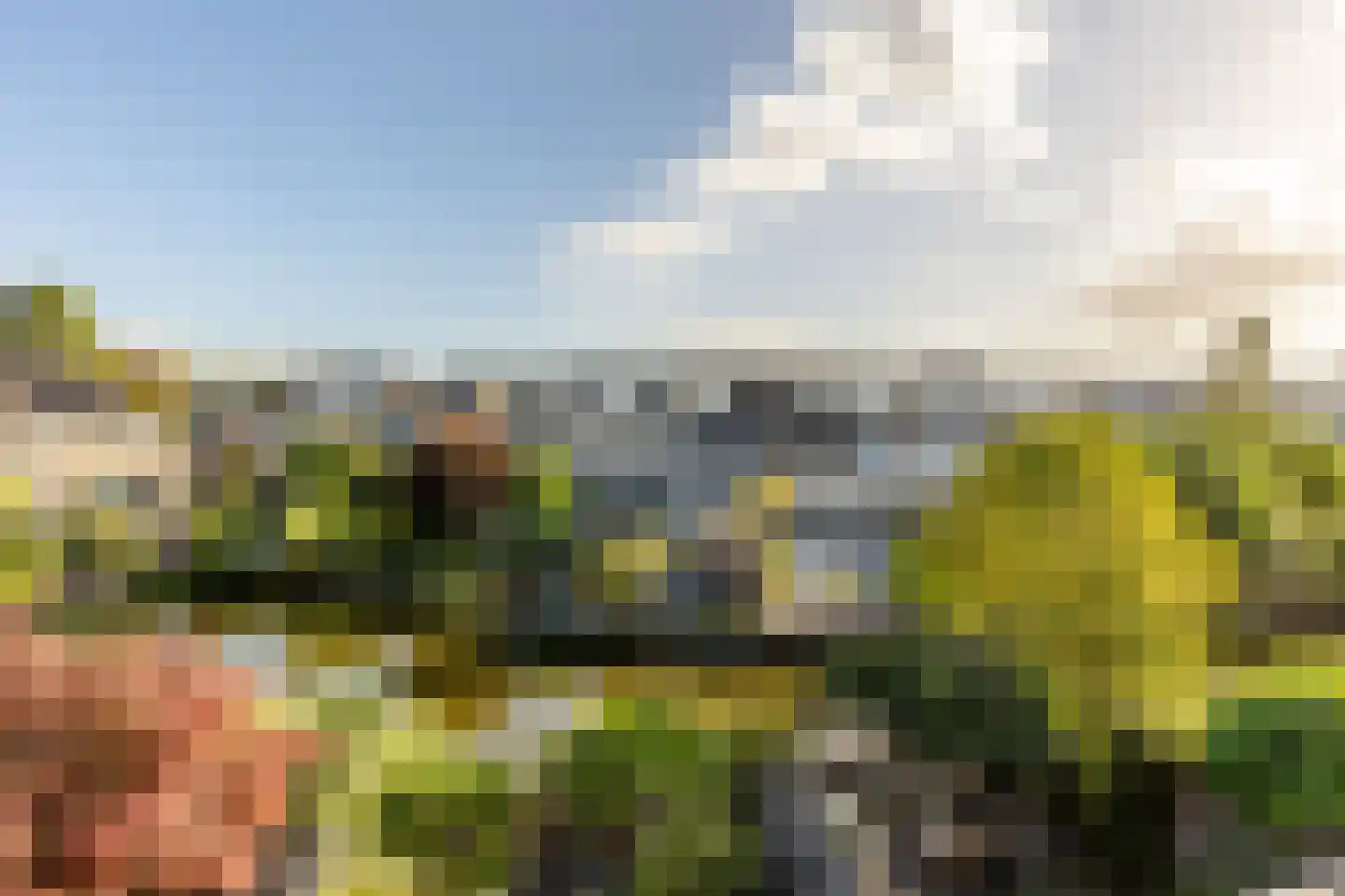 Griegstraat 24 Capelle aan den IJssel thumbnail 48