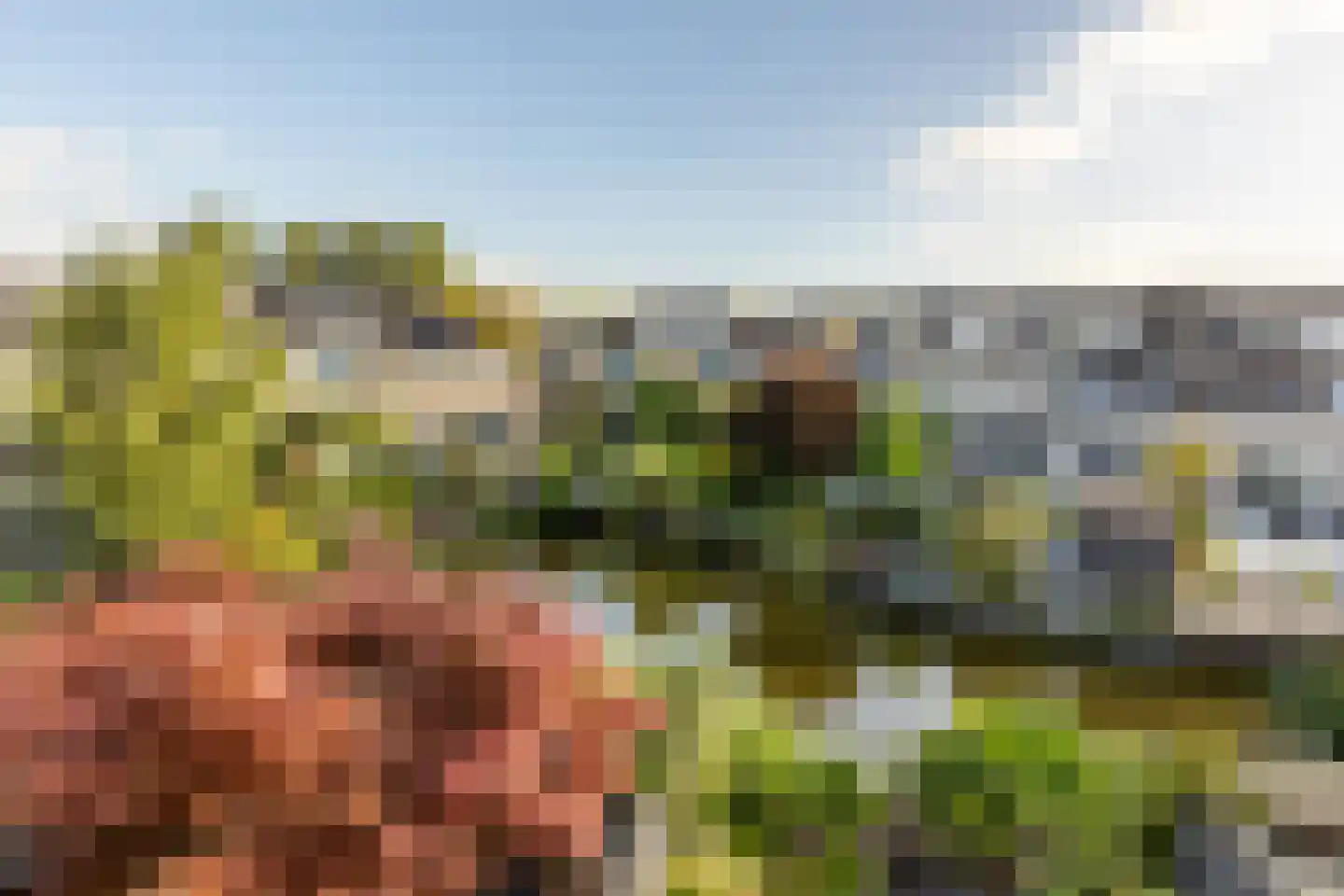 Griegstraat 24 Capelle aan den IJssel thumbnail 49