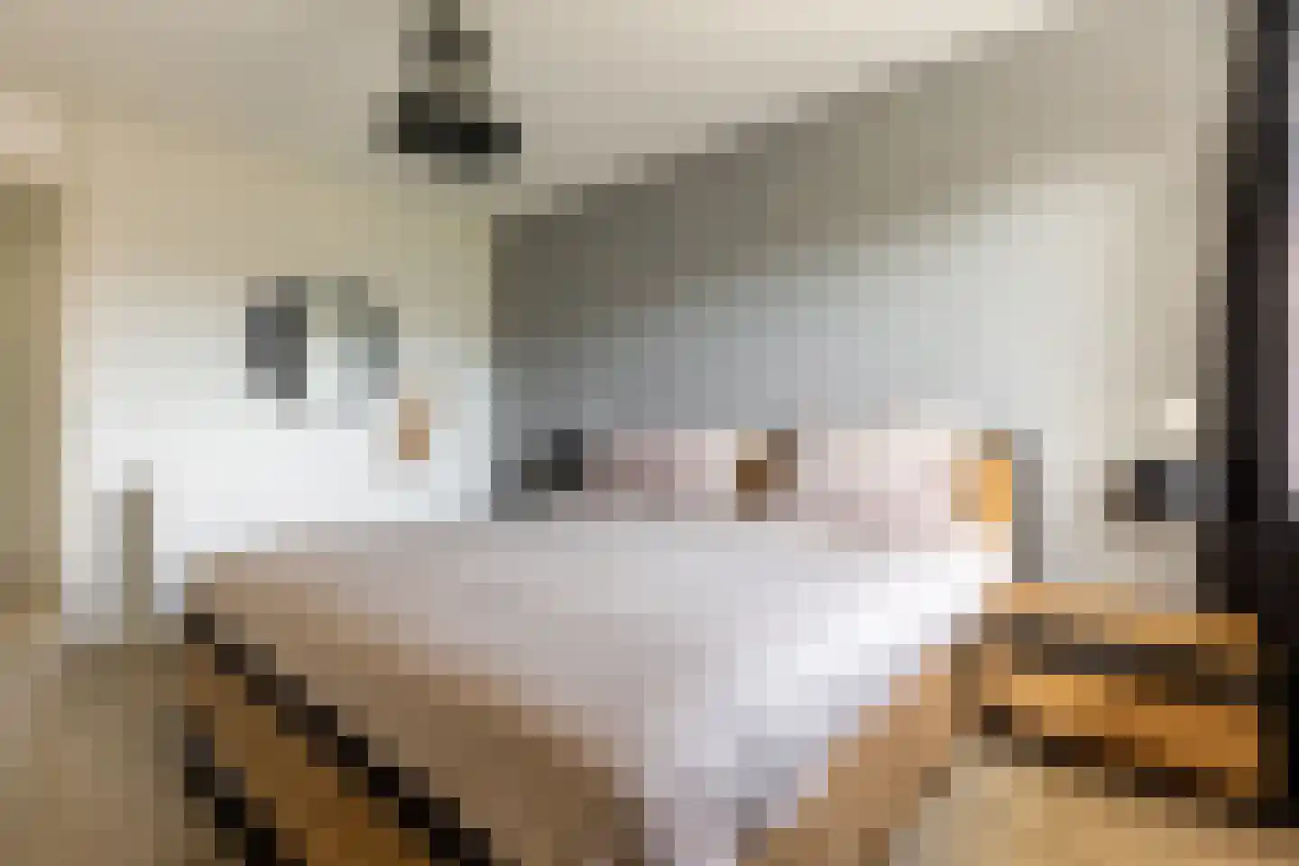 Griegstraat 24 Capelle aan den IJssel thumbnail 5
