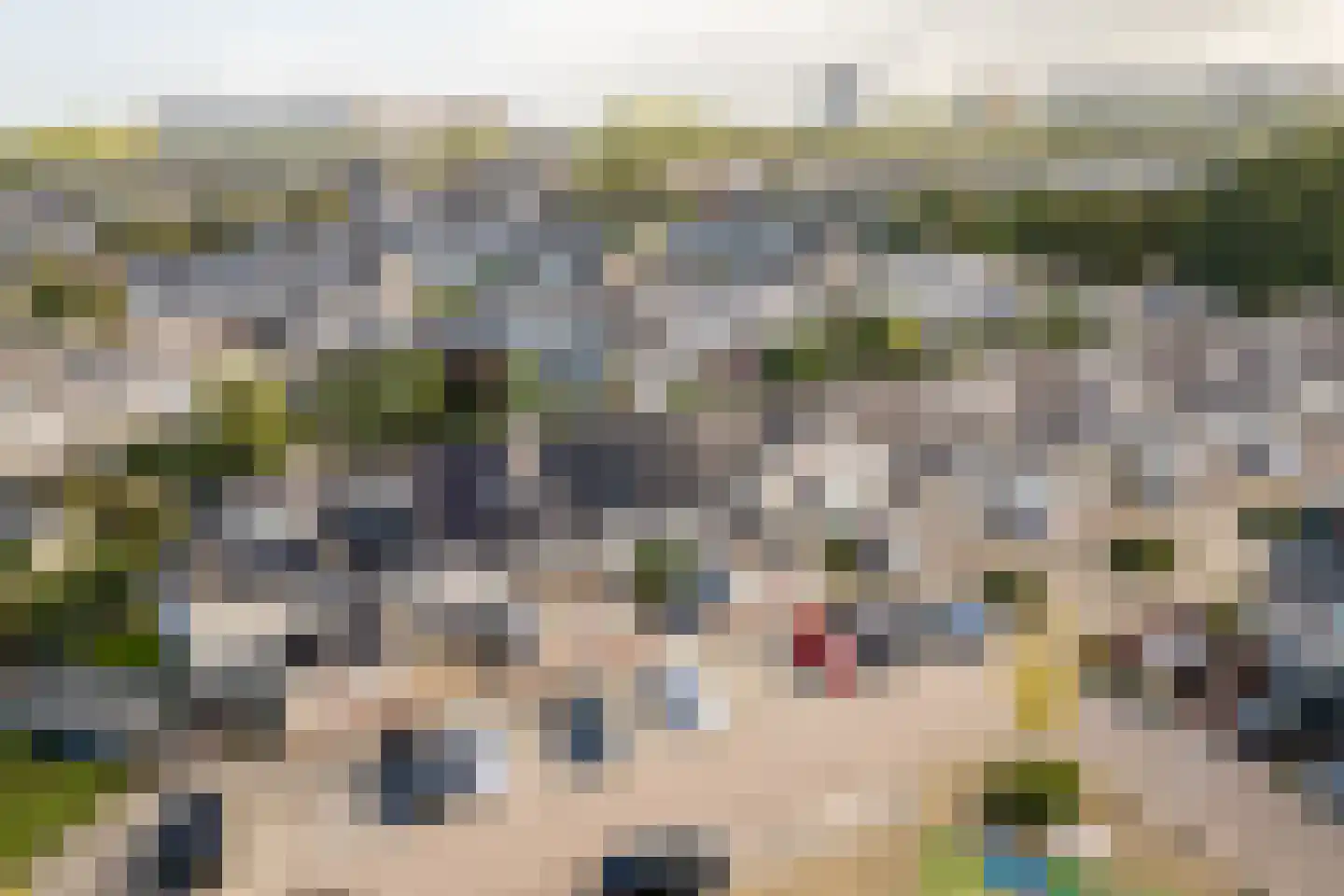 Griegstraat 24 Capelle aan den IJssel thumbnail 51