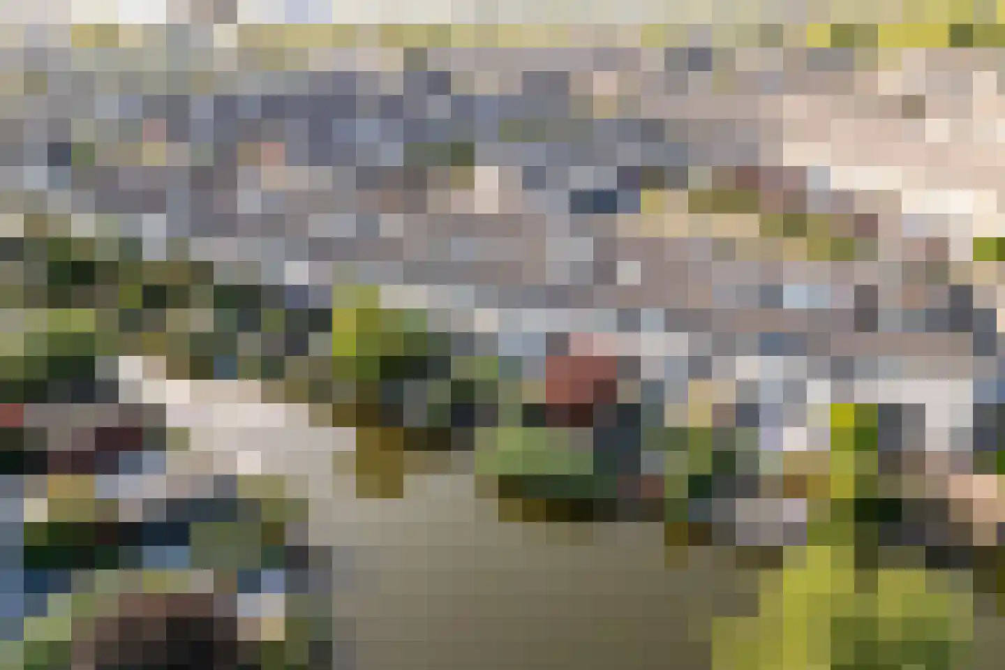 Griegstraat 24 Capelle aan den IJssel thumbnail 52