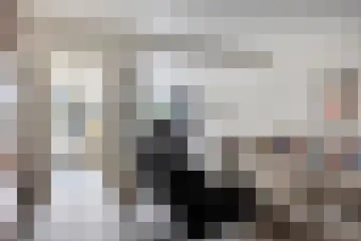 Griegstraat 27 Tilburg thumbnail 6