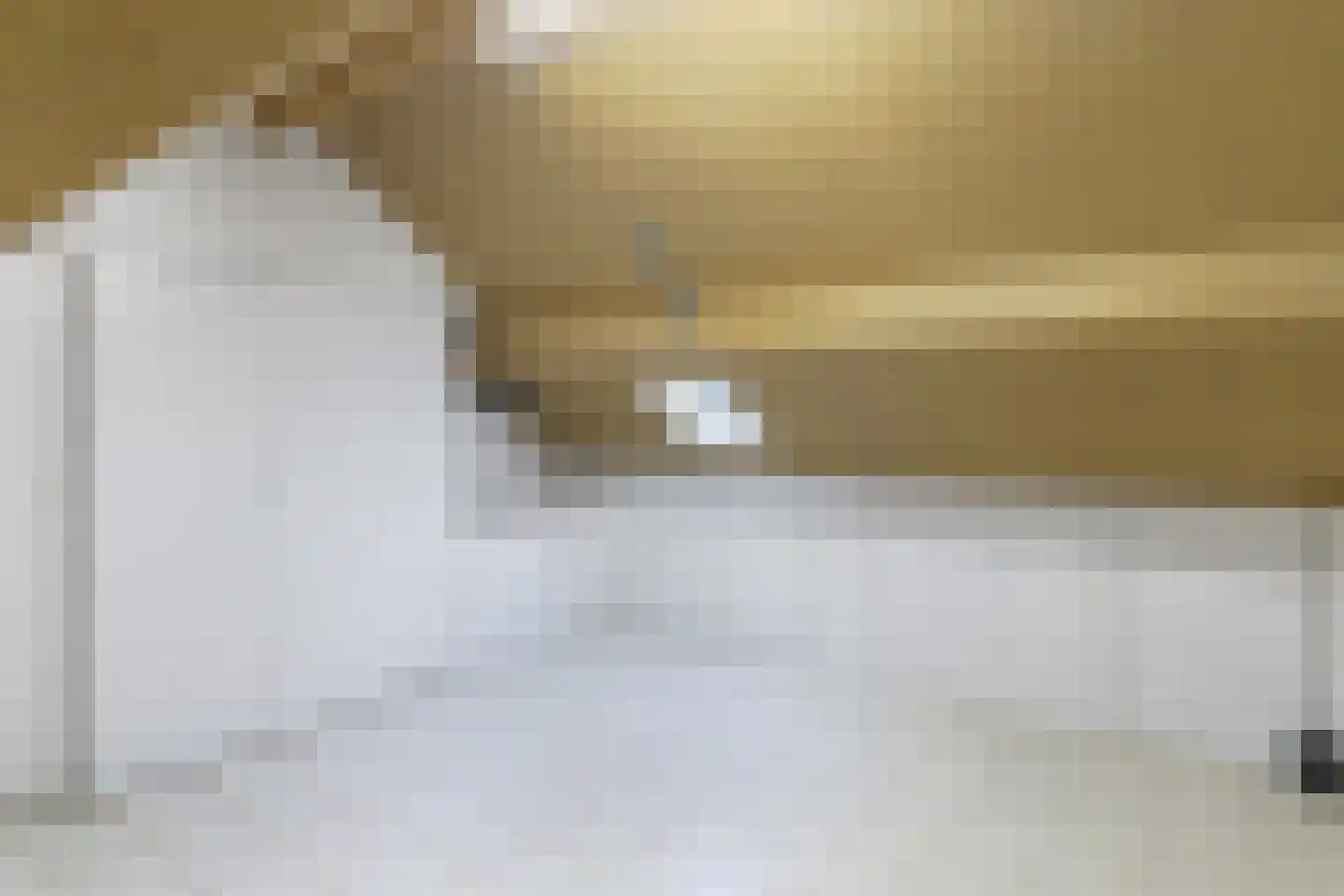 Griegstraat 29 Capelle aan den IJssel thumbnail 34
