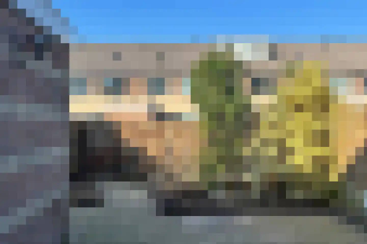 Griegstraat 29 Capelle aan den IJssel thumbnail 5