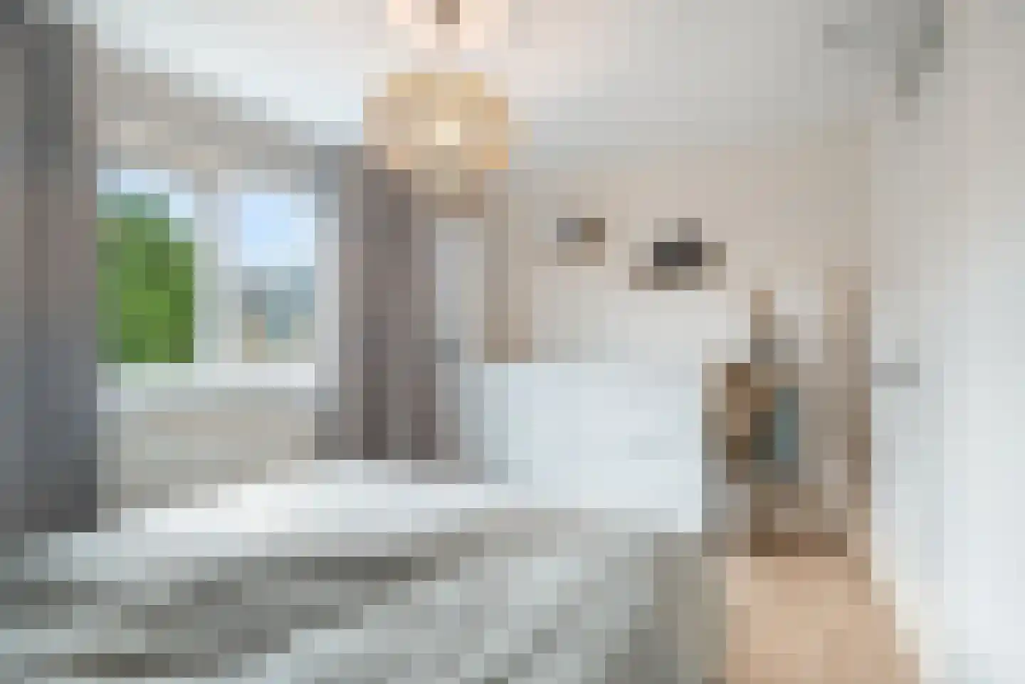 Griegstraat 3 Schagen thumbnail 30
