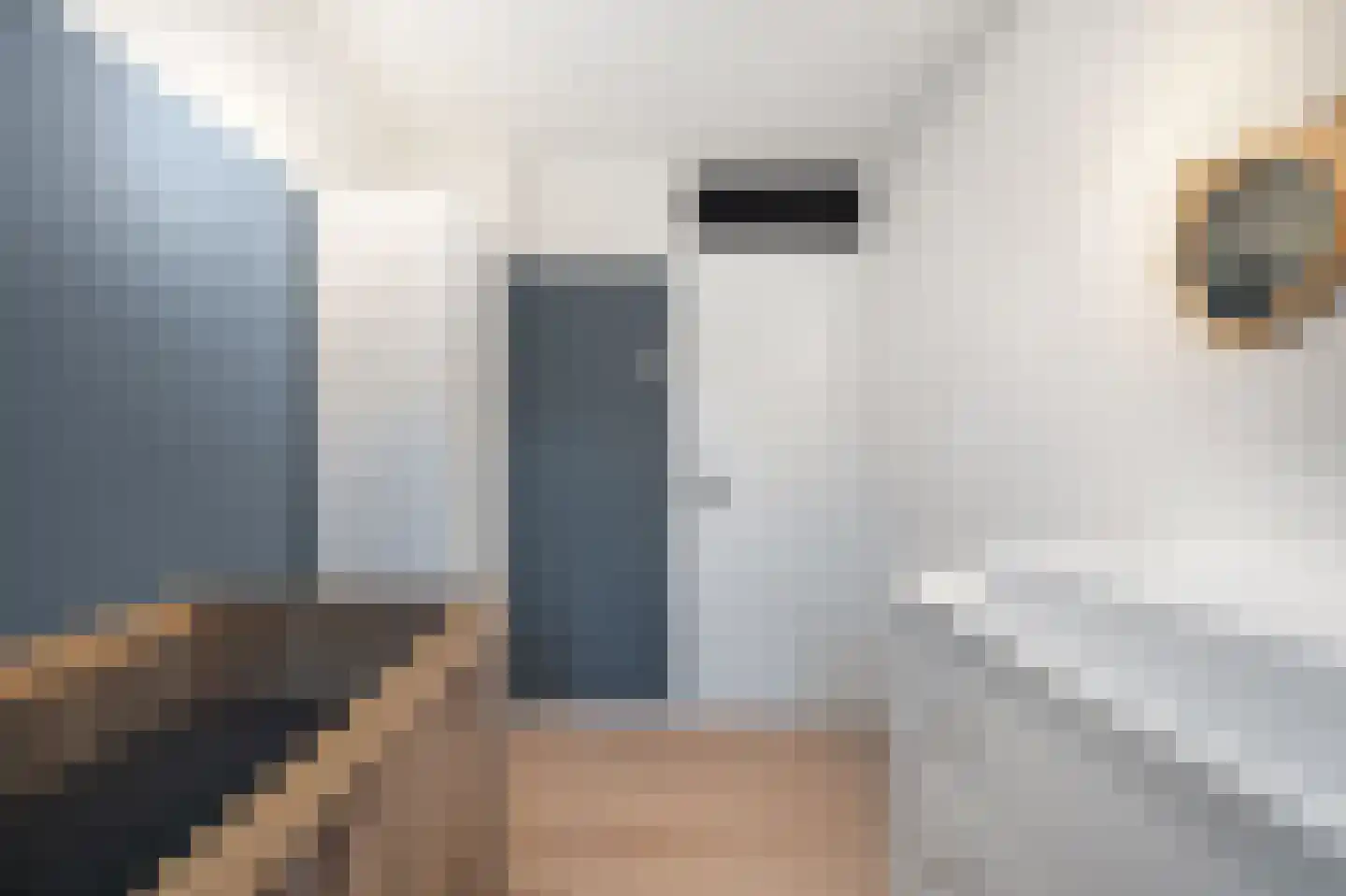 Griegstraat 3 Schagen thumbnail 33