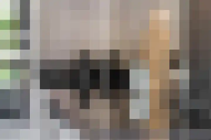 Griegstraat 3 Veenendaal thumbnail 14