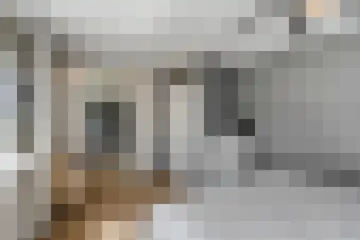 Griegstraat 3 Veenendaal thumbnail 18