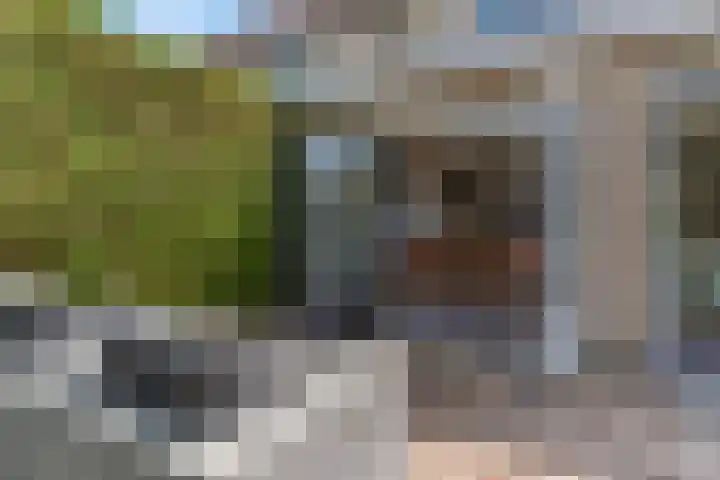 Griegstraat 3 Veenendaal thumbnail 30