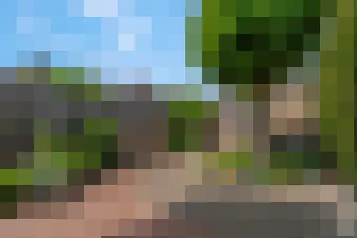 Griegstraat 3 Veenendaal thumbnail 31