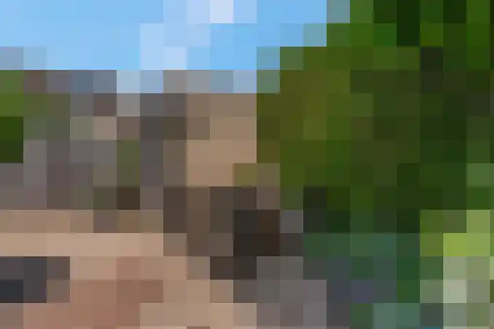 Griegstraat 3 Veenendaal thumbnail 32