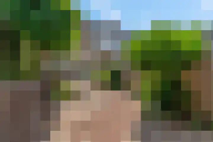 Griegstraat 3 Veenendaal thumbnail 34
