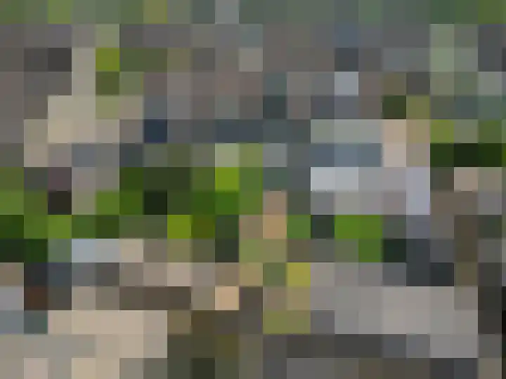 Griegstraat 3 Veenendaal thumbnail 35
