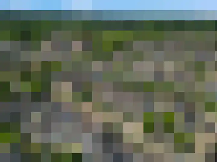 Griegstraat 3 Veenendaal thumbnail 36
