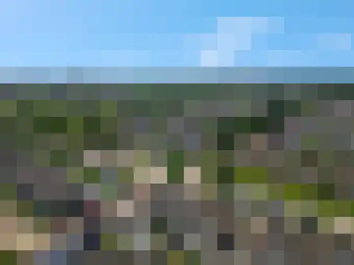 Griegstraat 3 Veenendaal thumbnail 37