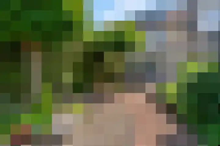 Griegstraat 3 Veenendaal thumbnail 4
