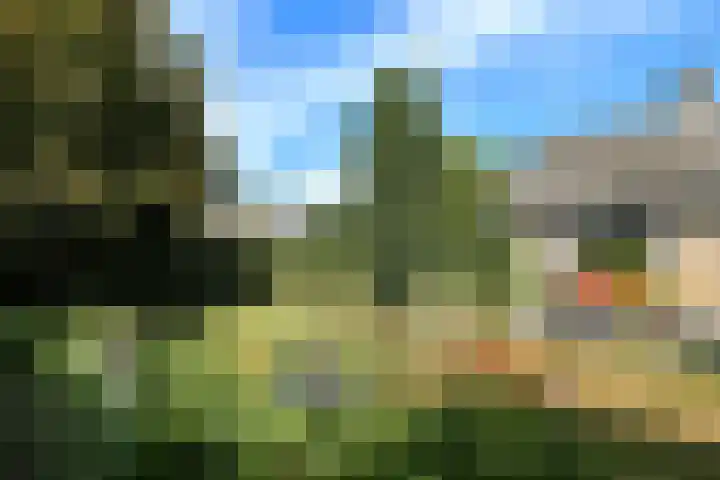 Griegstraat 30 Elst thumbnail 25