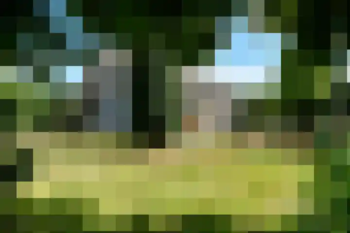 Griegstraat 30 Elst thumbnail 26