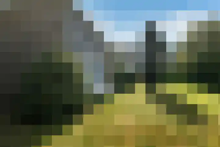 Griegstraat 30 Elst thumbnail 27