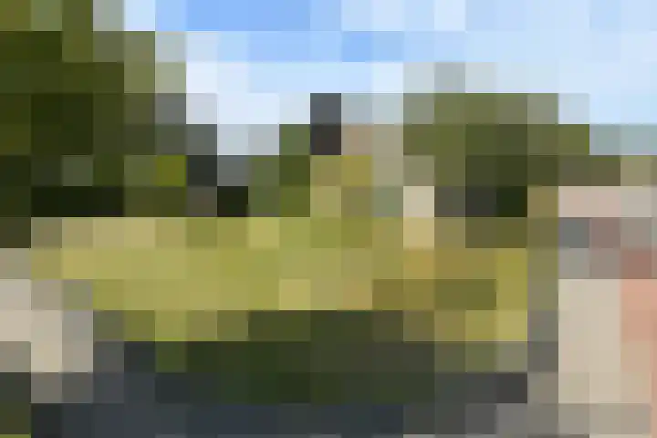 Griegstraat 30 Elst thumbnail 31