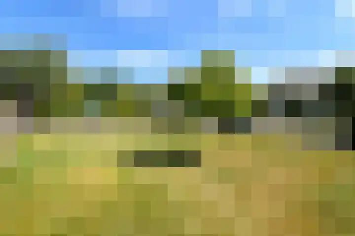 Griegstraat 30 Elst thumbnail 32